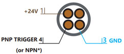 Connecteur fils nus